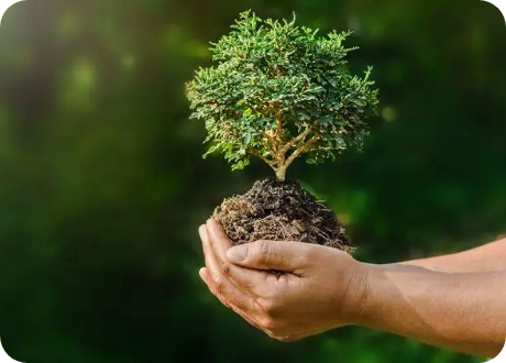 Sustainable with certification